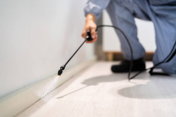 Licensed Fumigation Services service in Waimanalo Beach, HI - Nex Pest Control
