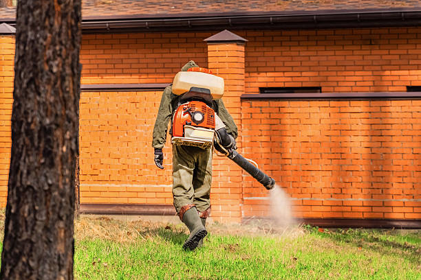 Trusted Termite Control service in Waimanalo Beach, HI - Nex Pest Control
